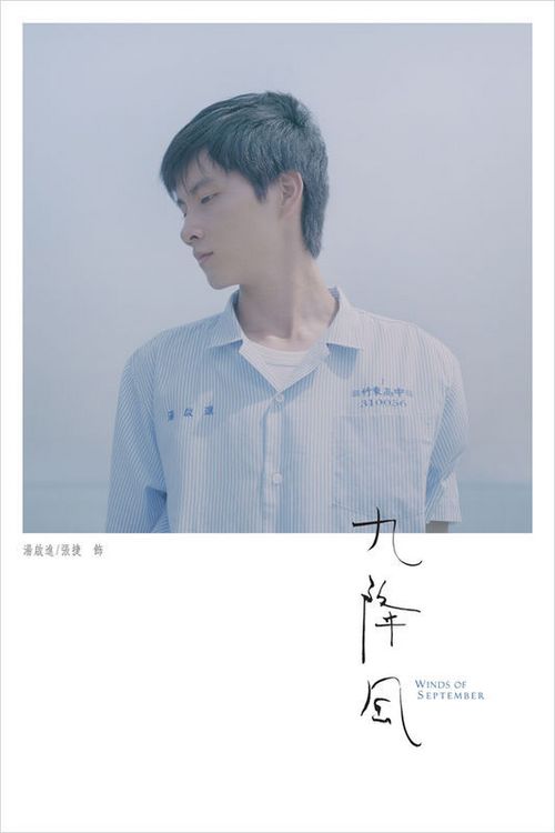 惠灵顿理工学院文凭办理